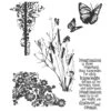 Tim Holtz Cling Stamps - Nature's Discovery