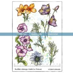 Katzelkraft - FLORALIES