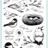 Gina K Designs - STAMPS- Beautiful Birds
