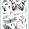 Gina K Designs - STAMPS- Beautiful Wings