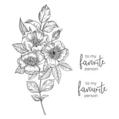 Spellbinders - BetterPress Letterpress System -PapierKunst Verkaufsgeschäft spellbinders betterpress letterpress system bp 001 3