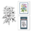 Spellbinders -BetterPress - Pressed Bouquet Press Plate